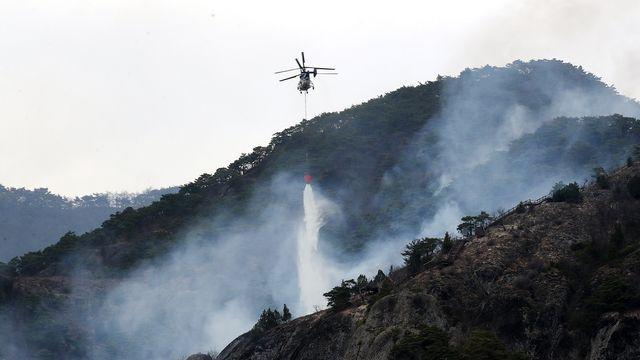 [속보] 정부, '산불 피해' 안동·청송·영양·영덕 특별재난지역 선포
