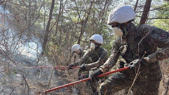 육군·해병대 870여명, 경북북부 산불 진화작업 투입