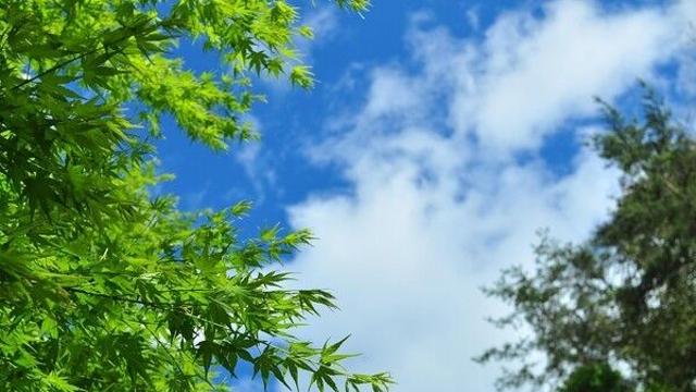 정읍 이번 주 완연한 봄 기운…자연과 어우러진 명소 3선