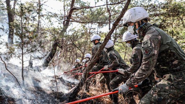군, 산불 진화에 장병 600명·헬기 49대 추가 투입