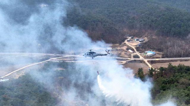 안동 이어 의성 산불 재발화… 헬기 투입 진화 중