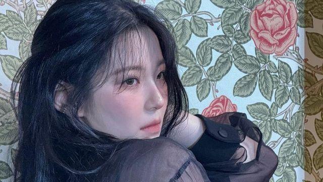 장미 벽 앞, 블랙 시스루로 완성한 백지헌의 몽환적 무드