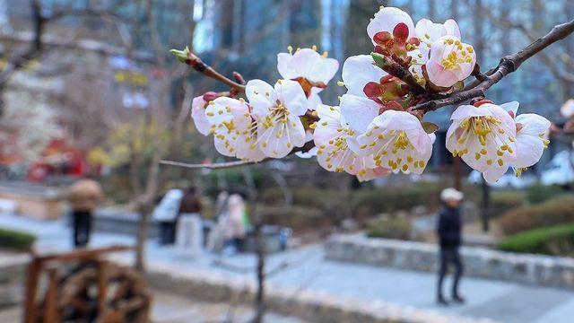 대전·세종·충남 낮 사이 0.1㎜ 빗방울…낮 최고 15도