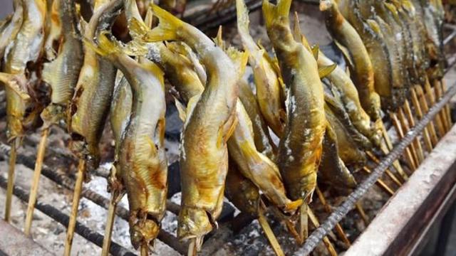 수라상도 오른 수박향의 물고기…산불로 20만마리 집단 폐사해 비상 걸린 지역