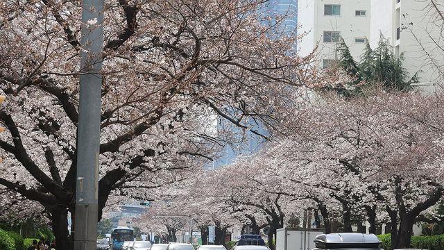 부산·울산·경남 낮 최고 16도…큰 일교차 주의