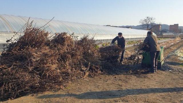 진천군, 영농부산물 안전처리로 산불 위험 사전 차단