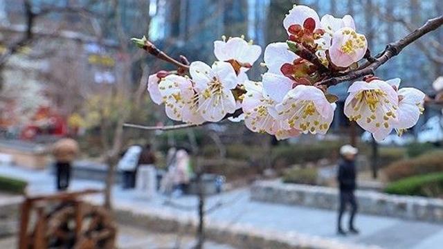 충북 대체로 맑음…낮 기온 16∼18도