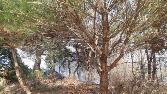 파주 야산서 산불… 20여분 만에 불길 잡아