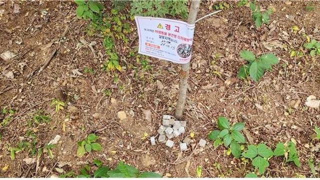 서울시, 둘레길·너구리 출몰 공원에 '광견병 예방약' 살포
