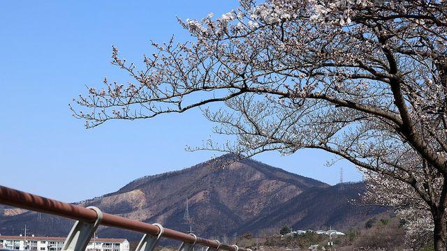 대구·경북 대체로 맑음…낮 최고기온 13∼18도