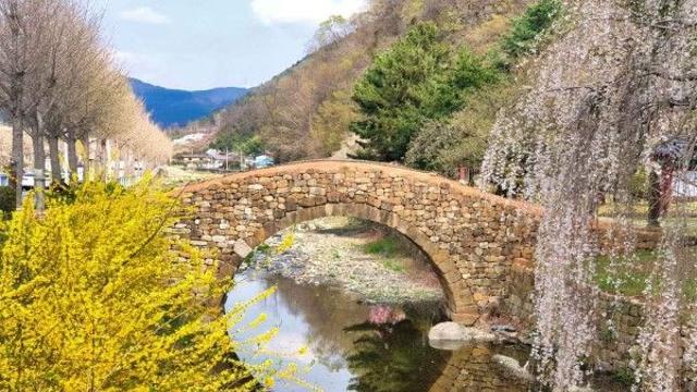 남지유채꽃축제만 보고 오기 아쉬운 창녕 봄 여행 코스