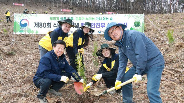 '청정 숲 힐링 공간 조성' 제80회 식목일 기념 편백나무 2000본 식재