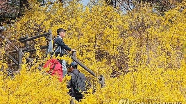 대전·세종·충남 미세먼지 '나쁨'…오후에는 약한 비