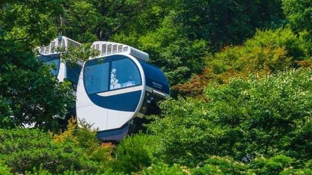 화담숲 예약 바뀌었다? 2025년 예약 방법 총정리
