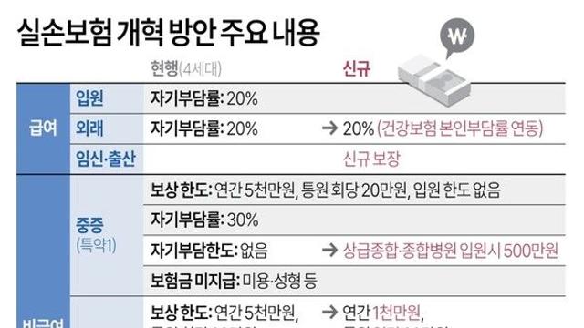 실손보험 개혁 방안 주요 내용