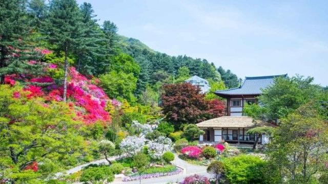 아침고요수목원 근처 어디 갈까…가평 힐링 명소 총정리
