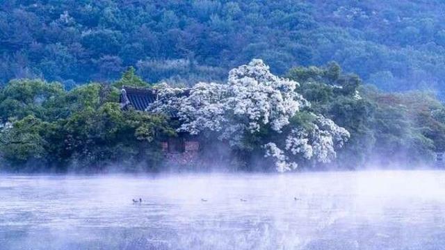 일교차 큰 4월 초, 밀양에서만 누릴 수 있는 봄 산책 코스