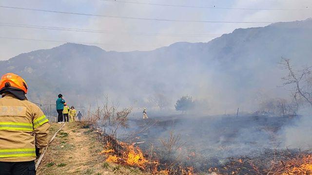 축구장 56개 규모 산불 낸 사람 “손시려워서 불 피웠다”