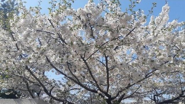 인천시 