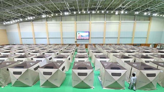 청송군, 산불 이재민 감염병 예방 총력 대응