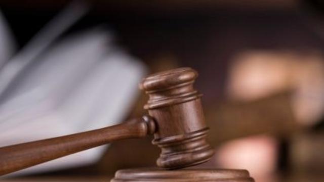 들고양이 공기총으로 쏴 죽인 60대 남성 항소심도 집행유예
