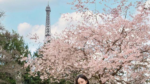 배혜지, 벚꽃 아래 드러낸 순백의 우아함…파리의 봄을 입다