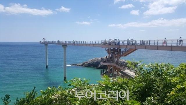 울진에 이런 곳이? SNS에서 핫한 가볼만한곳 4선