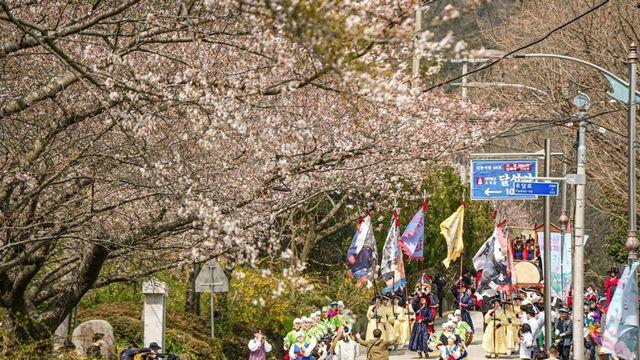 목포 유달산서 '봄꽃과 함께 떠나는 이순신 역사여행'