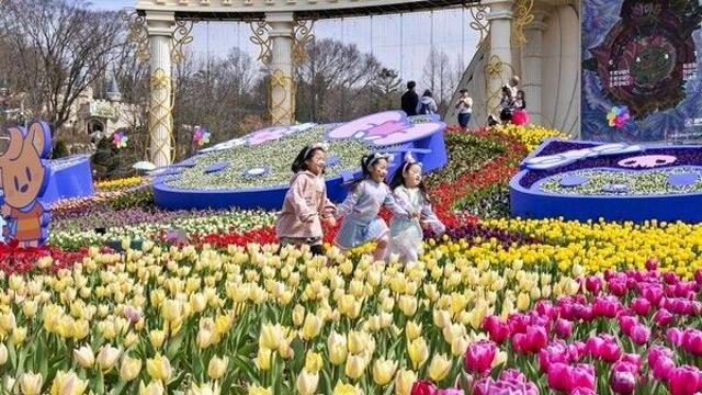 미술관만 보고 오기 아쉬워… 호암미술관 인근 핫플 4선