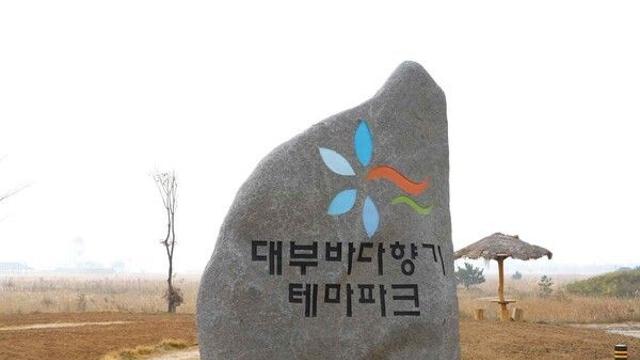 대부도에서 뭐하지? 꼭 가봐야 할 명소 4곳