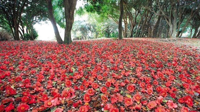 여수에 이런 곳이? 현지인도 추천한 필수 코스 4
