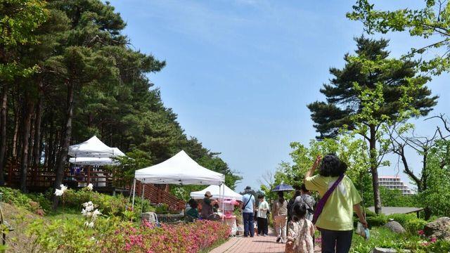 속초 노리숲길 숲속마켓, 5일 올해 첫 운영...볼거리, 즐길거리, 먹거리 가득