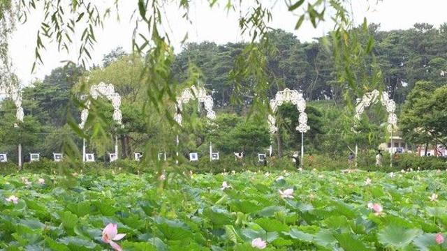 부여 여행자만 알 수 있다는 '레전드 명소' 4곳