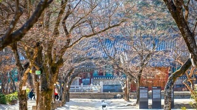 김천연화지만 보고 올 거야? 근처 숨은 명소 3곳