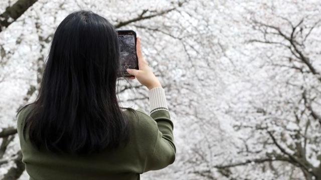 외면받던 제주도, 3월 수학여행으로 대박…'이 방법' 쓴 결과였다
