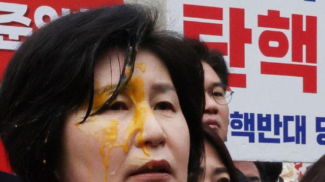 국과수 다녀온 백혜련 계란...용의자 특정 