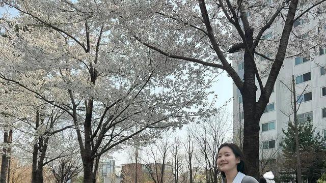 봄바람 따라, 진지희의 벚꽃 스쿨룩
