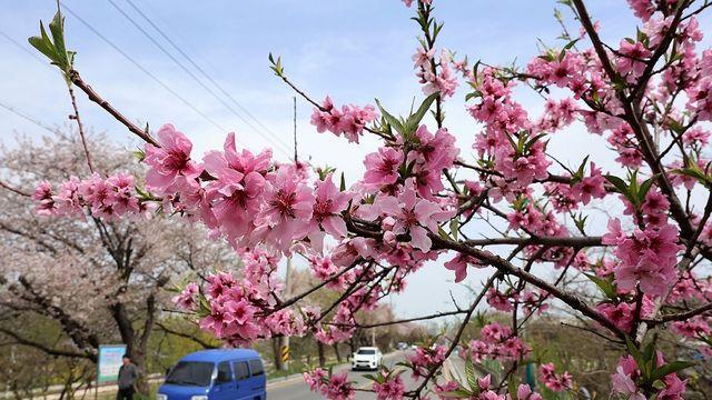 광주·전남 주말 비바람·기온 뚝 