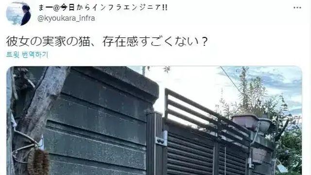 여친 집의 존재감이 대단한 고양이.jpg,,