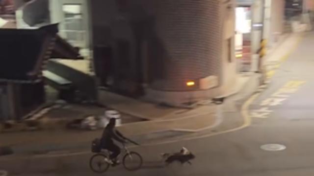 상상만 하던거 실제로 하는 사람