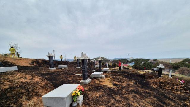 가족묘지에서 담배 폈다가… 조상묘 9기 불타