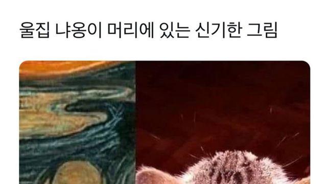 고양이 머리에 있는 예술작품,,