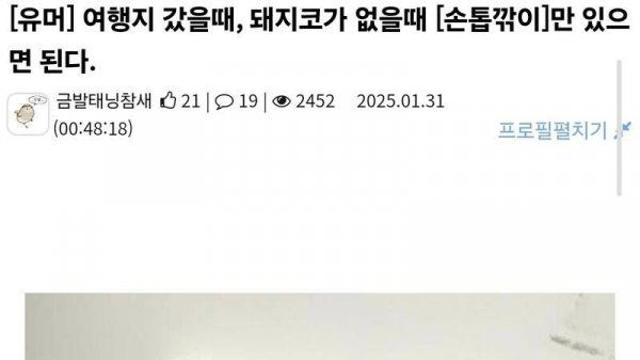 여행지에서 돼지코가 없을때