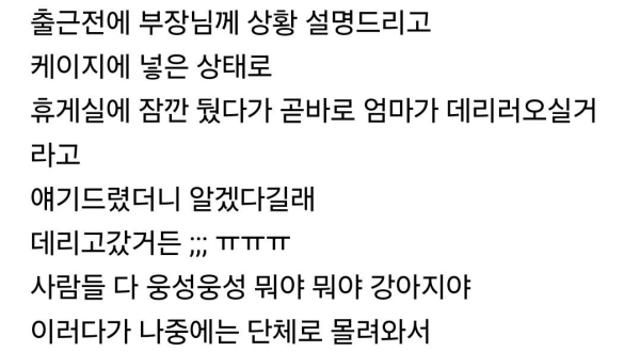 강아지 한번 데려갔는데 그 뒤로 매일 기다리시는 과장님