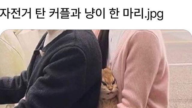 자전거 탄 커플과 냥이 한마리,,
