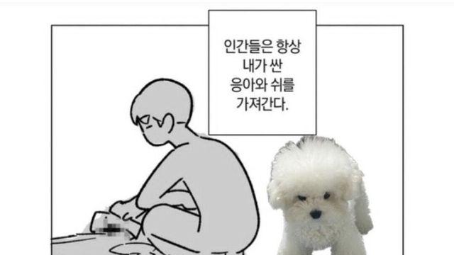 댕댕이 입장에서 본 인간 주인.jpg