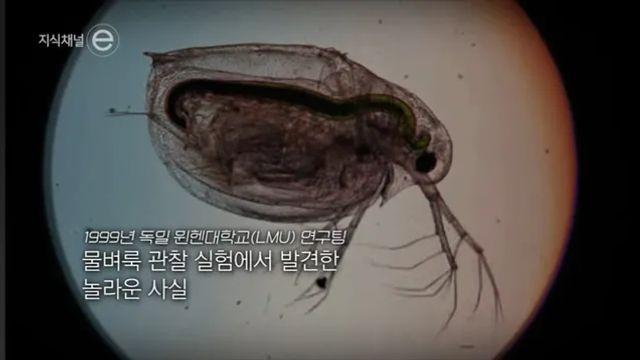 부모의 트라우마는 자식에게 유전이 된다.