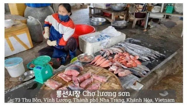 어째서인지 베트남에서 인정받는 한국사람들