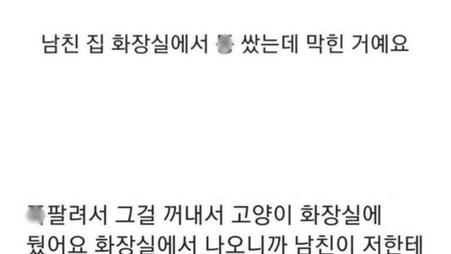 남친 집 고양이