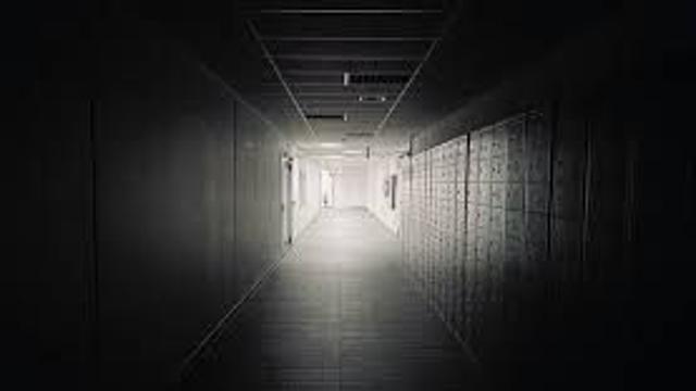 어두운 집안의 댕댕이.